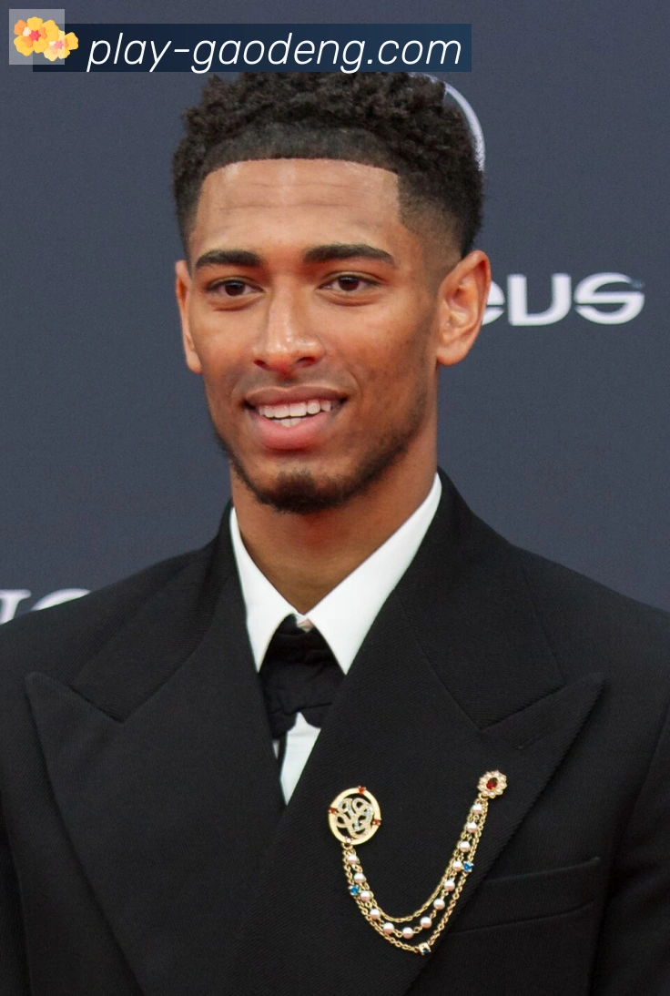 维尼修斯